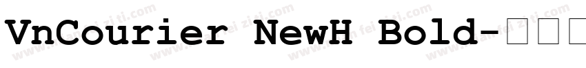 VnCourier NewH Bold字体转换